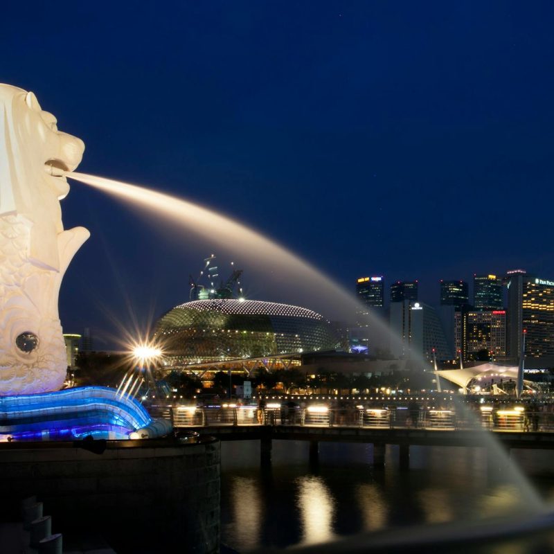 Custom Tours & Travels