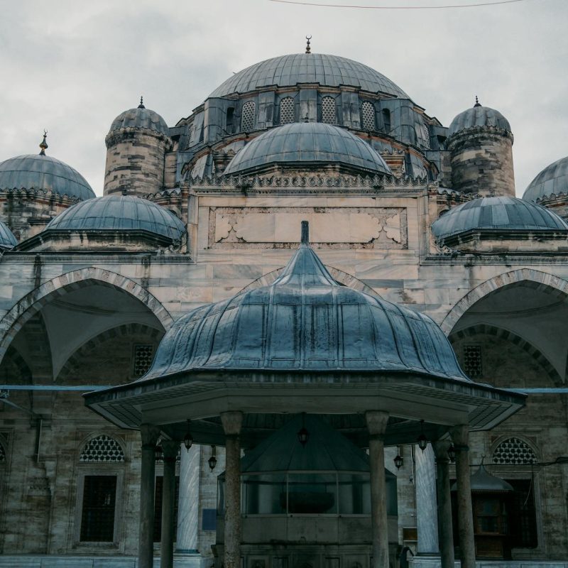 Custom Tours & Travels